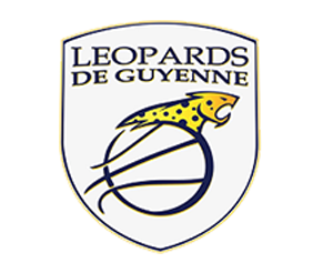 logo handibasketbordeaux